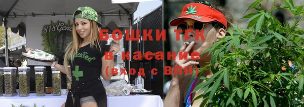 гидропоника Ельня