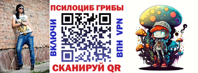 hydra ТОР  Мичуринск  Псилоцибиновые грибы Cubensis 